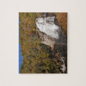 Waterval in Gorges State Park in Noord Legpuzzel (Verticaal)