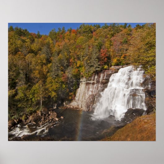 Waterval in Gorges State Park in Noord Poster (Voorkant)