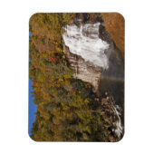 Waterval in Gorges State Park in North Magneet (Verticaal)