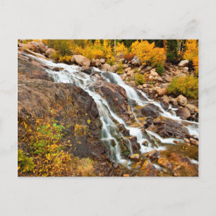 Waterval in Grand Teton National Park Briefkaart