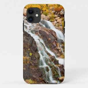 Waterval in Grand Teton National Park iPhone 11 Hoesje