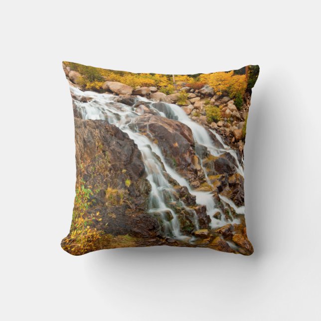 Waterval in Grand Teton National Park Kussen (Voorkant)