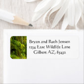 Waterval in groen etiket (Insitu)