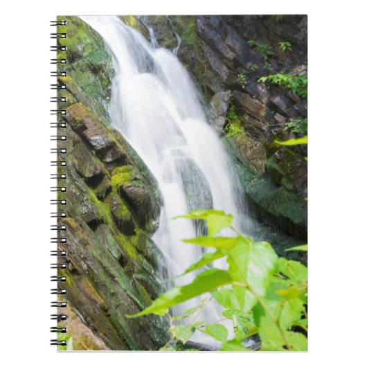 Waterval in Hell's Gate Canyon Notitieboek (Voorkant)