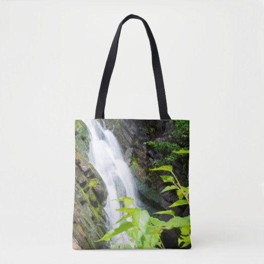 Waterval in Hell's Gate Canyon Tote Bag (Voorkant)