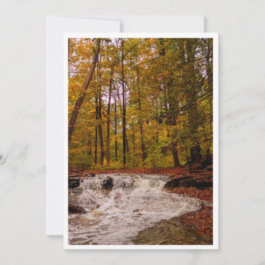 Waterval in herfst feestdagenkaart (Voorkant)