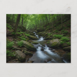 Waterval in het bos bij Gatlinburg, Tennessee Briefkaart