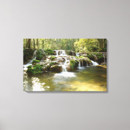 Waterval in het bos canvas afdruk