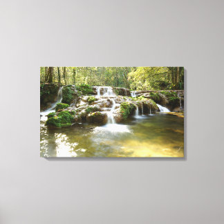 Waterval in het bos canvas afdruk