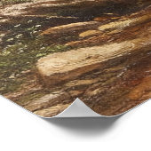 Waterval in het bos – George Hetzel Poster (Hoek)