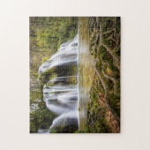 Waterval in het bos legpuzzel (Verticaal)