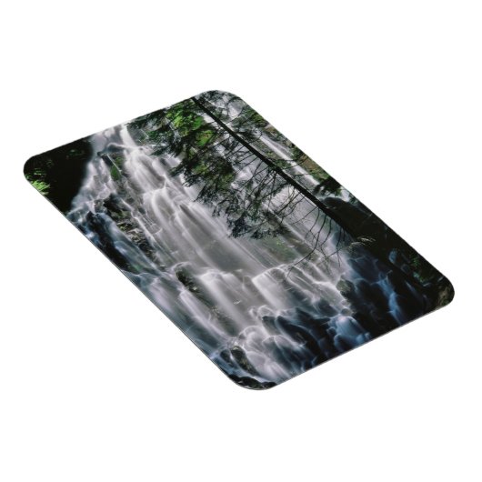 Waterval in het bos, Oregon Magneet (Rechterzijde)