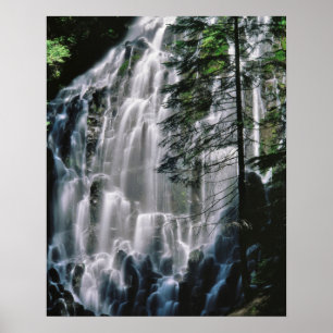 Waterval in het bos, Oregon Poster