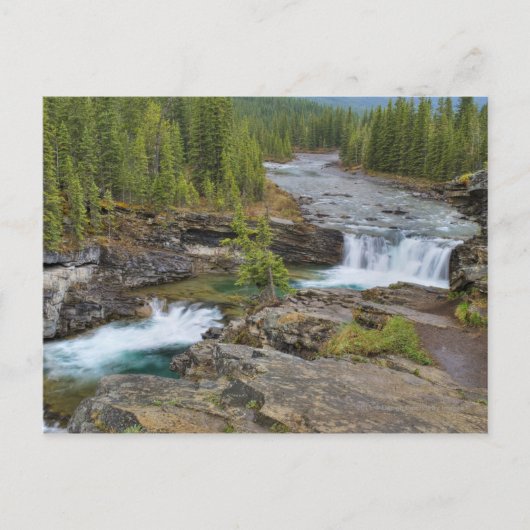 Waterval in het Canadese Rocky Mountains Briefkaart (Voorkant)