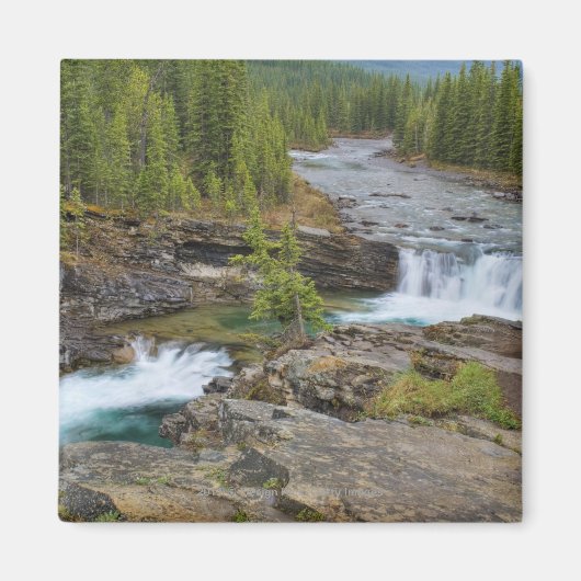 Waterval in het Canadese Rocky Mountains Magneet (Voorkant)