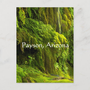 Waterval in het groen in Payson, Arizona, Briefkaart