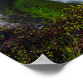 Waterval in het groen poster (Hoek)