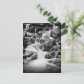 Waterval in het Grote Smoky-gebergte Briefkaart (Staand voorkant)