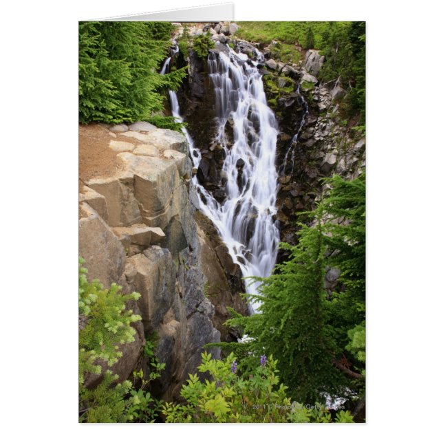 Waterval in het Nationaal Park Mount Rainier (Voorkant)