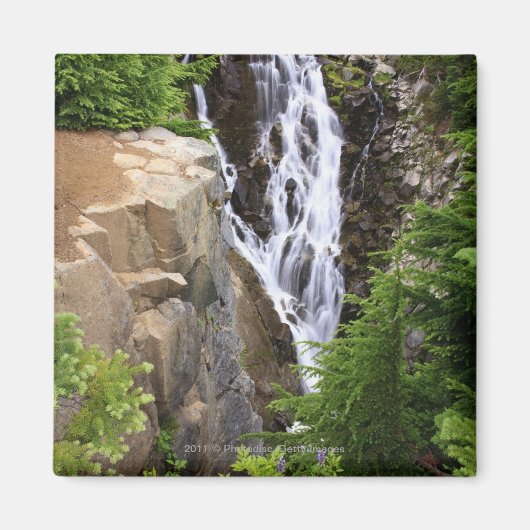 Waterval in het Nationaal Park Mount Rainier Magneet (Voorkant)
