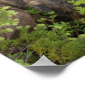 Waterval in het Nationaal Park Mount Rainier Poster (Hoek)