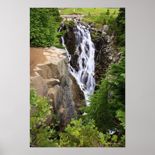Waterval in het Nationaal Park Mount Rainier Poster (Voorkant)