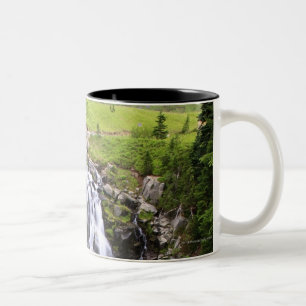 Waterval in het Nationaal Park Mount Rainier Tweekleurige Koffiemok