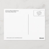 Waterval in het Nationaal Rainwoud El Yunque Briefkaart (Achterkant)