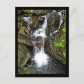 Waterval in het Nationaal Rainwoud El Yunque Briefkaart (Voorkant)