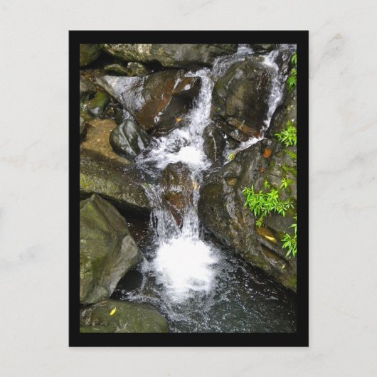 Waterval in het Nationaal Rainwoud El Yunque Briefkaart (Voorkant)