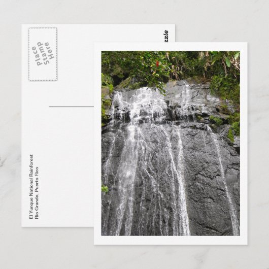 Waterval in het Nationaal Rainwoud El Yunque Briefkaart (Voorkant / Achterkant)