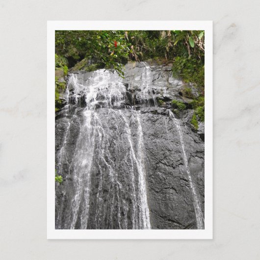 Waterval in het Nationaal Rainwoud El Yunque Briefkaart (Voorkant)