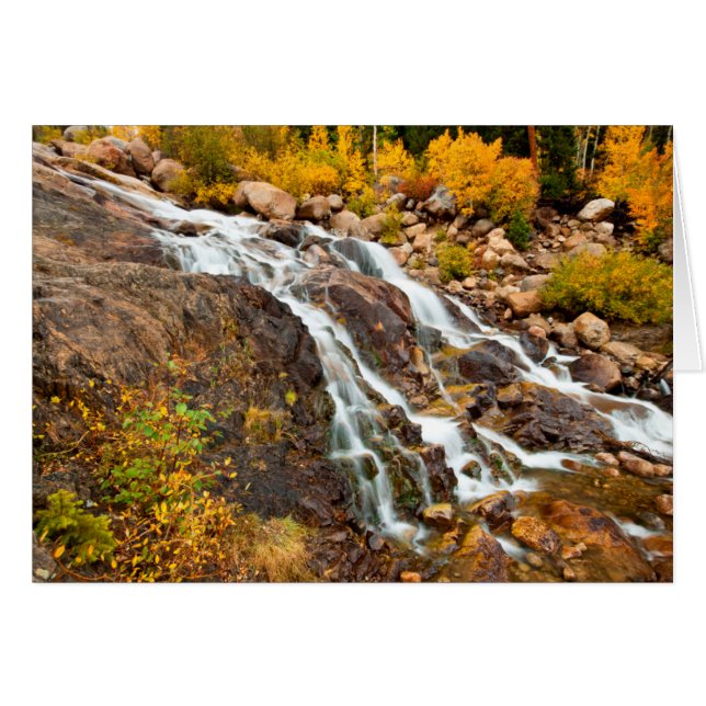 Waterval in het nationale park Grand Teton (Voorkant Horizontaal)