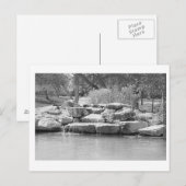 Waterval in het park briefkaart (Voorkant / Achterkant)