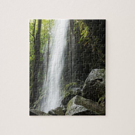 Waterval in het regenwoud Dominica, Emerald Pool Legpuzzel (Verticaal)