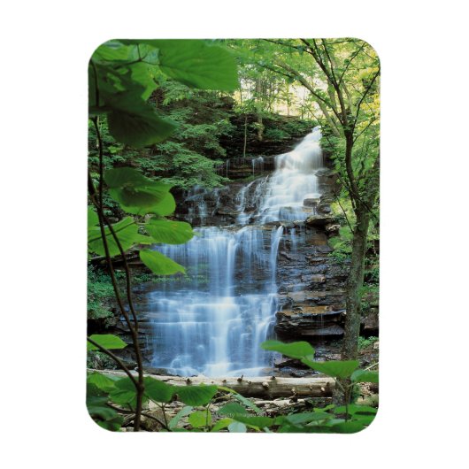 Waterval in het State Park Rickets Glen, Magneet (Verticaal)