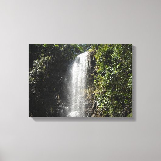 Waterval in Kauai, Hawaï Canvas Afdruk (Voorkant)