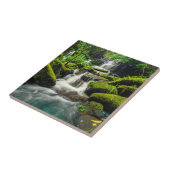 Waterval in Oerwoud | Phu Tub Berk Mountain Tegeltje (Zijkant)