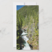 Waterval in Olympisch Nationaal Bos (Voorkant)