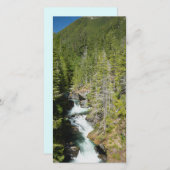 Waterval in Olympisch Nationaal Bos (Voorkant / Achterkant)