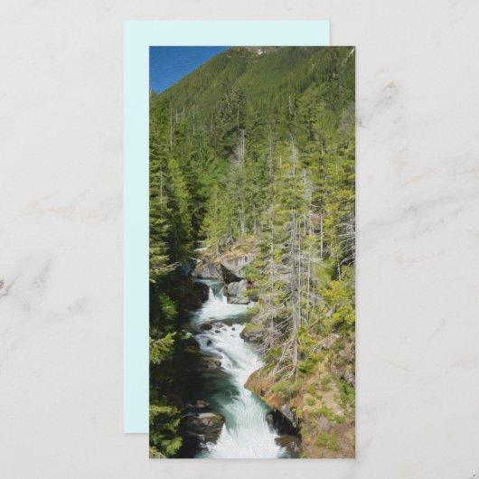 Waterval in Olympisch Nationaal Bos (Voorkant / Achterkant)