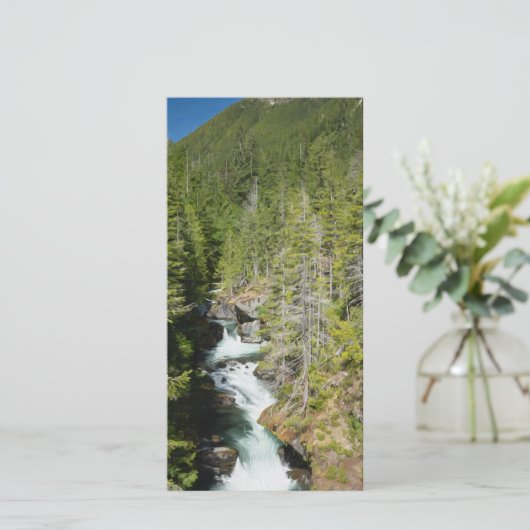 Waterval in Olympisch Nationaal Bos (Staand voorkant)