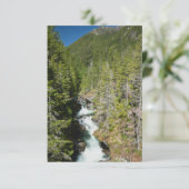 Waterval in Olympisch Nationaal Bos Bedankkaart (Staand voorkant)