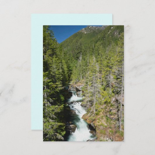 Waterval in Olympisch Nationaal Bos Bedankkaart (Voorkant / Achterkant)