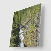 Waterval in Olympisch Nationaal Bos Vierkante Klok (Hoek)