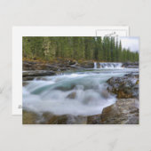 Waterval in Sheep River in de Canadese Rocky Briefkaart (Voorkant / Achterkant)