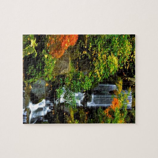 Waterval Japanse tuin Portland Legpuzzel (Horizontaal)