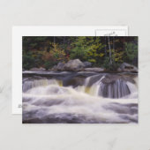 Waterval, Kancamagus Highway, White Briefkaart (Voorkant / Achterkant)