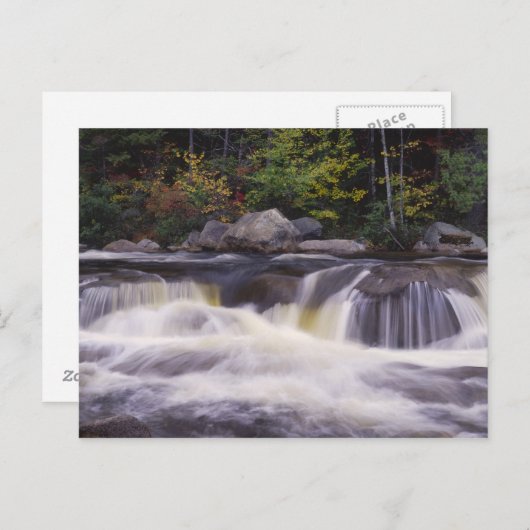Waterval, Kancamagus Highway, White Briefkaart (Voorkant / Achterkant)