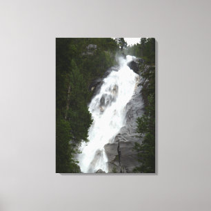 Waterval Kunstprint Shannon Falls BC Kunst Canvas Afdruk